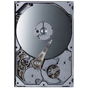 Hard Disk ハードディスク 東京事変 | www.tspea.org